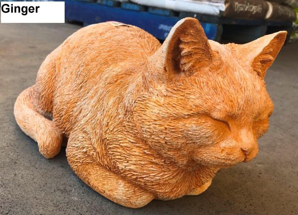 Large Sleeping Cat ginger
