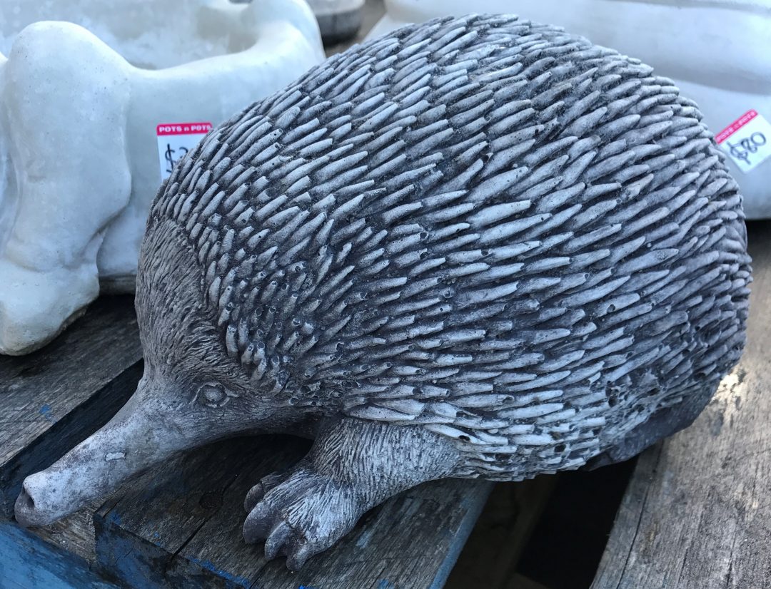 thumbnail image 2 of Australian Echidna Cement Statue – Handmade Garden Ornament, Indoor/Outdoor, 4.4kg 2 of 4