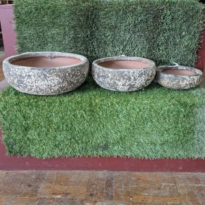 Succulent Bowl Atlantis Pot