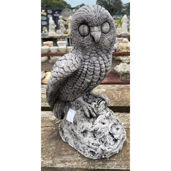 Owl on Rock Concrete Bird Statue 0066