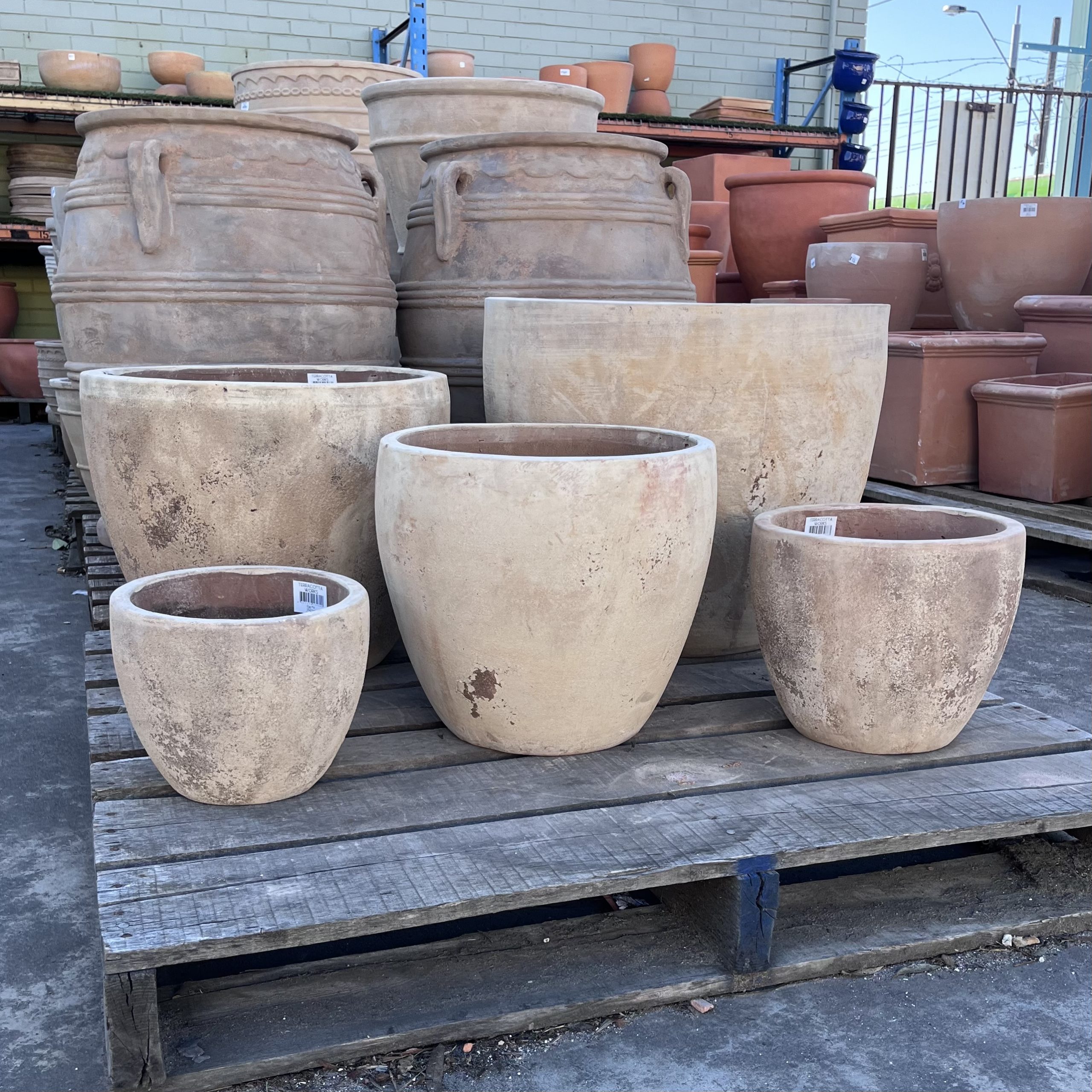 Terracotta Egg Pot – Northcote Pottery