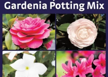 Grow Better 25lt Camellia, Azalea and Gardenia Potting Mix