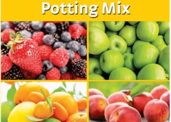 Grow Better 25lt Fruit & Citrus Potting Mix