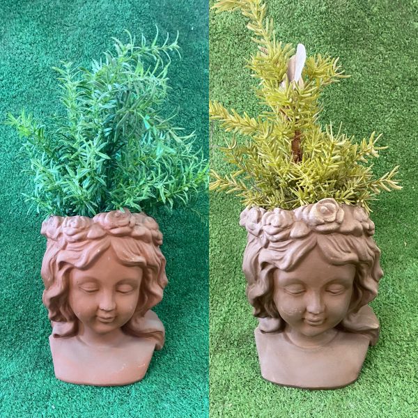 Terracotta Head Planter - Flowers and Fringe