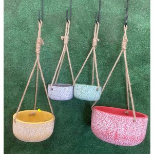 Daisy Hanging Pot