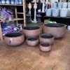 Andy Bowl Lightweight Planter - Image 2