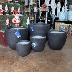 Helix Egg Lightweight Pot