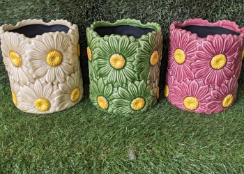 Daisy Cylinder Cover Pot