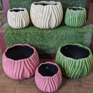 Tulip Glazed Cover Pot