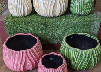 Tulip Glazed Cover Pot