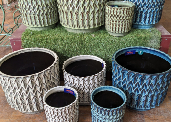 Felix Glazed Indoor Cover Pot