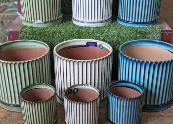 Louis Tapered Cylinder Glazed Pot and Saucer