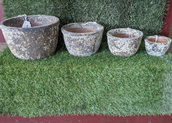 Succulent Tub Atlantis Pot
