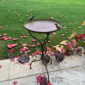 Birdbath on stand