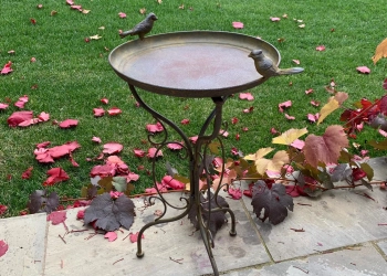 Birdbath on stand