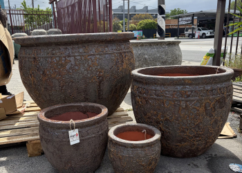 Lava Rock Coin Pot